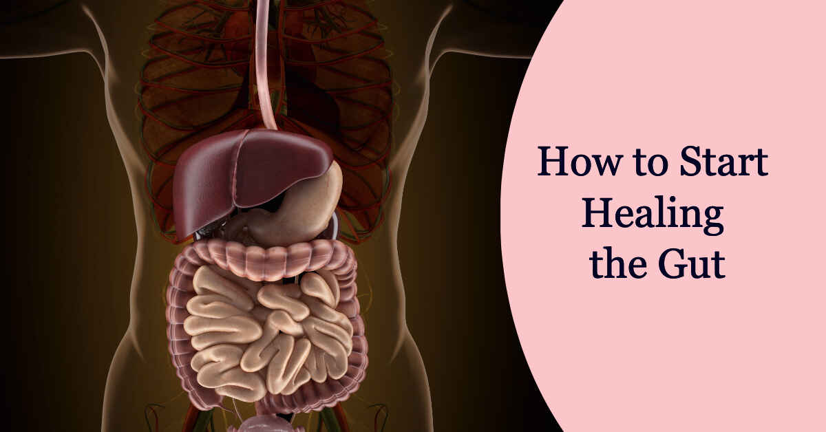 How to start healing the gut