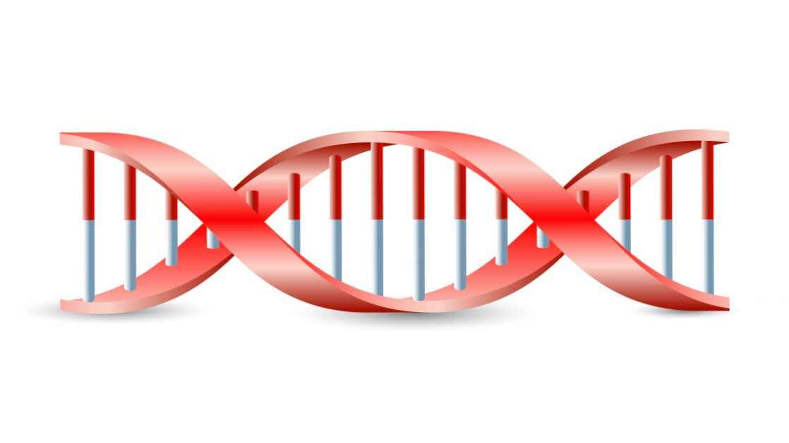 DNA