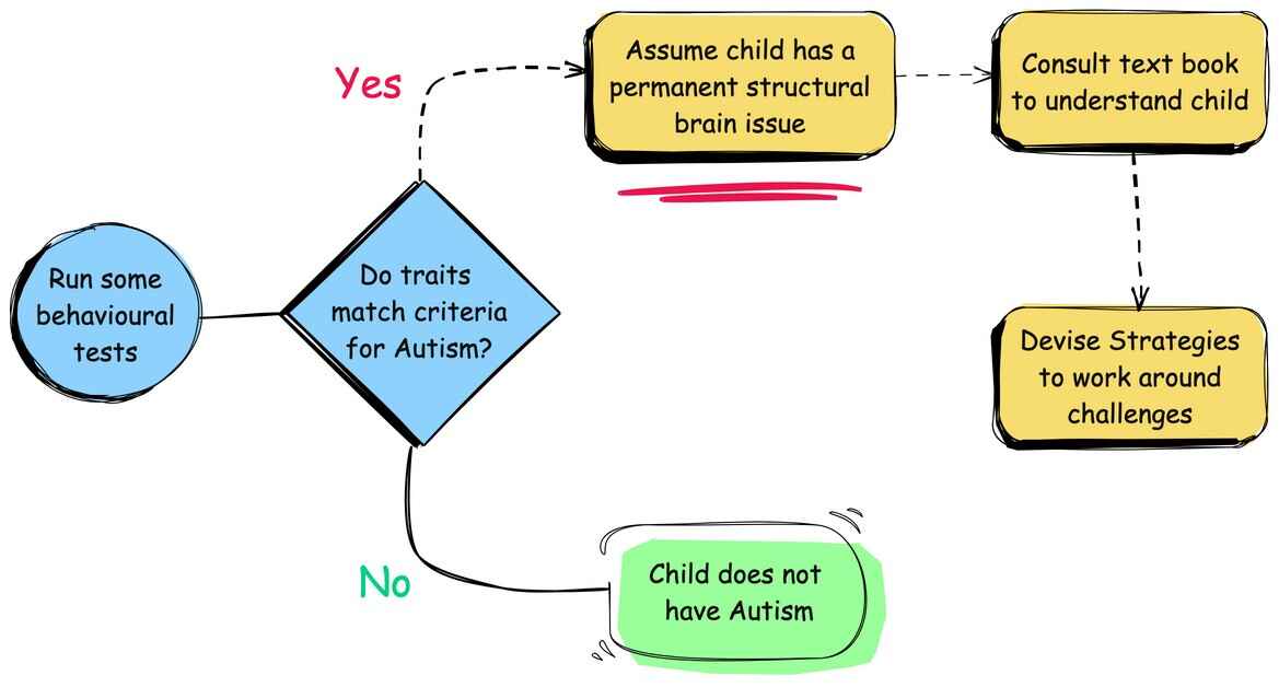 Autism Diagnosis Flow Chart