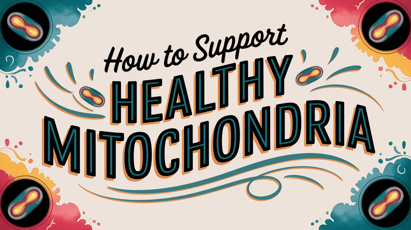 How to support mitochondria